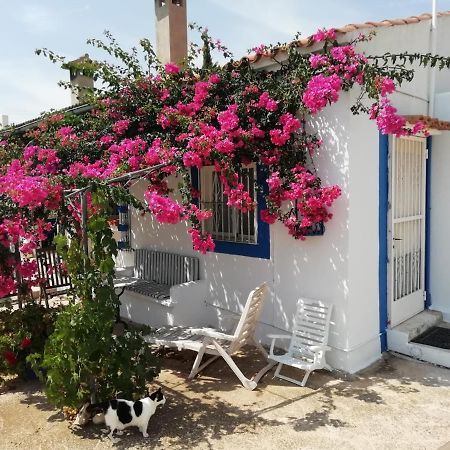 Finca La Joya Torreblanca Exteriör bild
